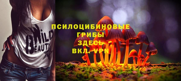 твердый Киреевск