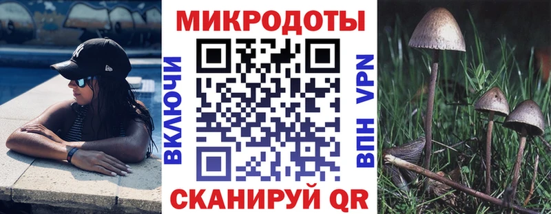 Купить где  Заволжск  Галлюциногенные грибы Psilocybine cubensis 